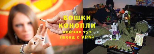 ГАЛЛЮЦИНОГЕННЫЕ ГРИБЫ Новокубанск