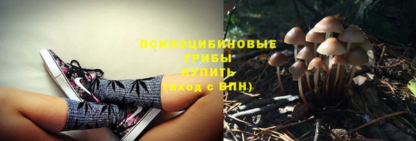 индика Нязепетровск