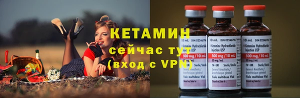 индика Нязепетровск