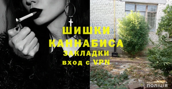 индика Нязепетровск