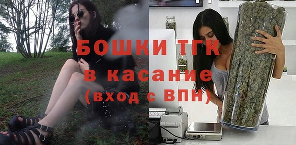 индика Нязепетровск