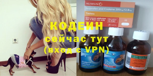 индика Нязепетровск